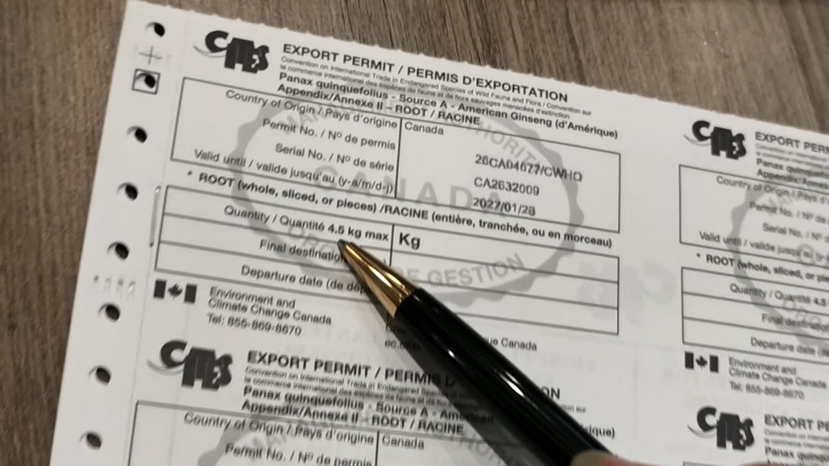 A stack of Canadian CITES export permit forms for American ginseng on the Fosetter counter, showing the 4.5 kg maximum quantity line, with a pen pointing at it.