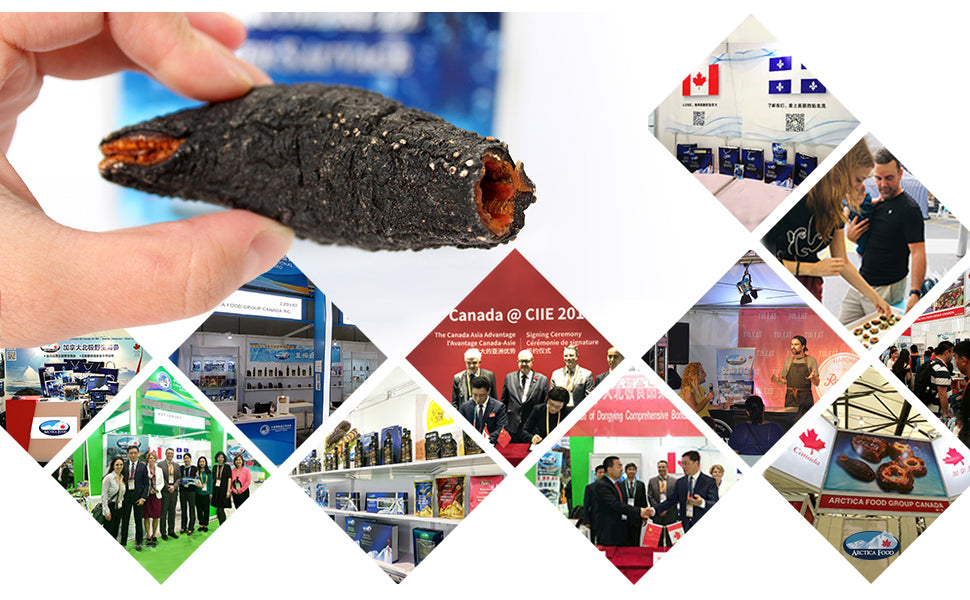 Arctica Food Canadian Dried Wild Sea Cucumber Best Select, 454g
