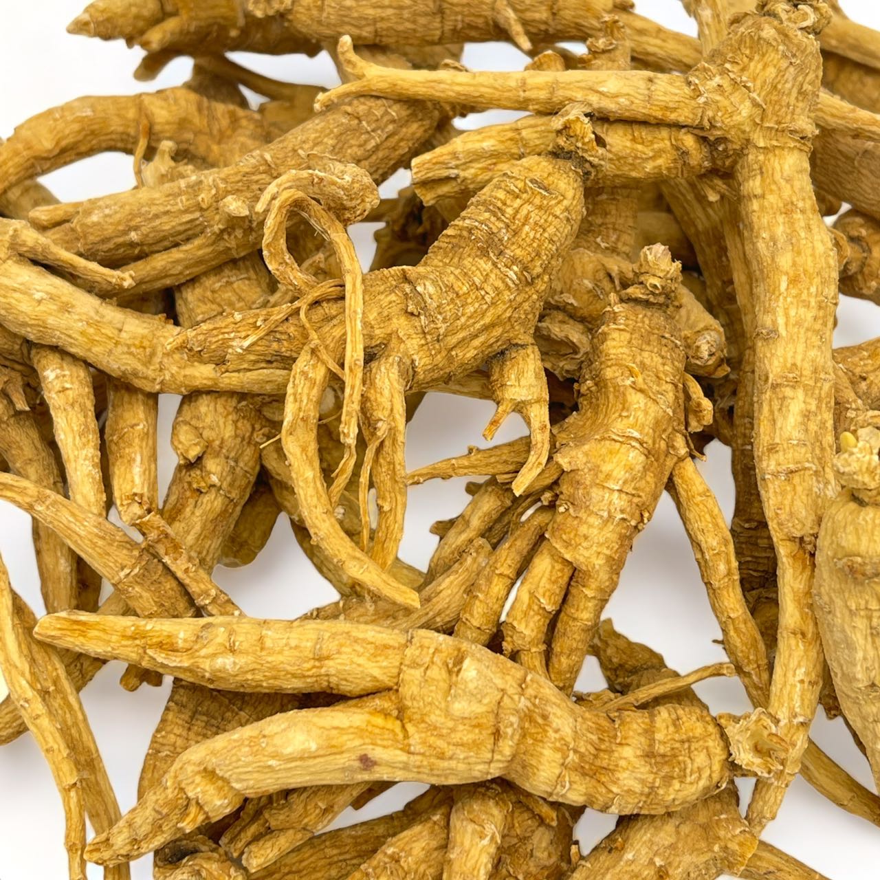"NATIVE ULTRA" 5-Year Premium Canadian Ginseng Whole Roots, 454g/bag