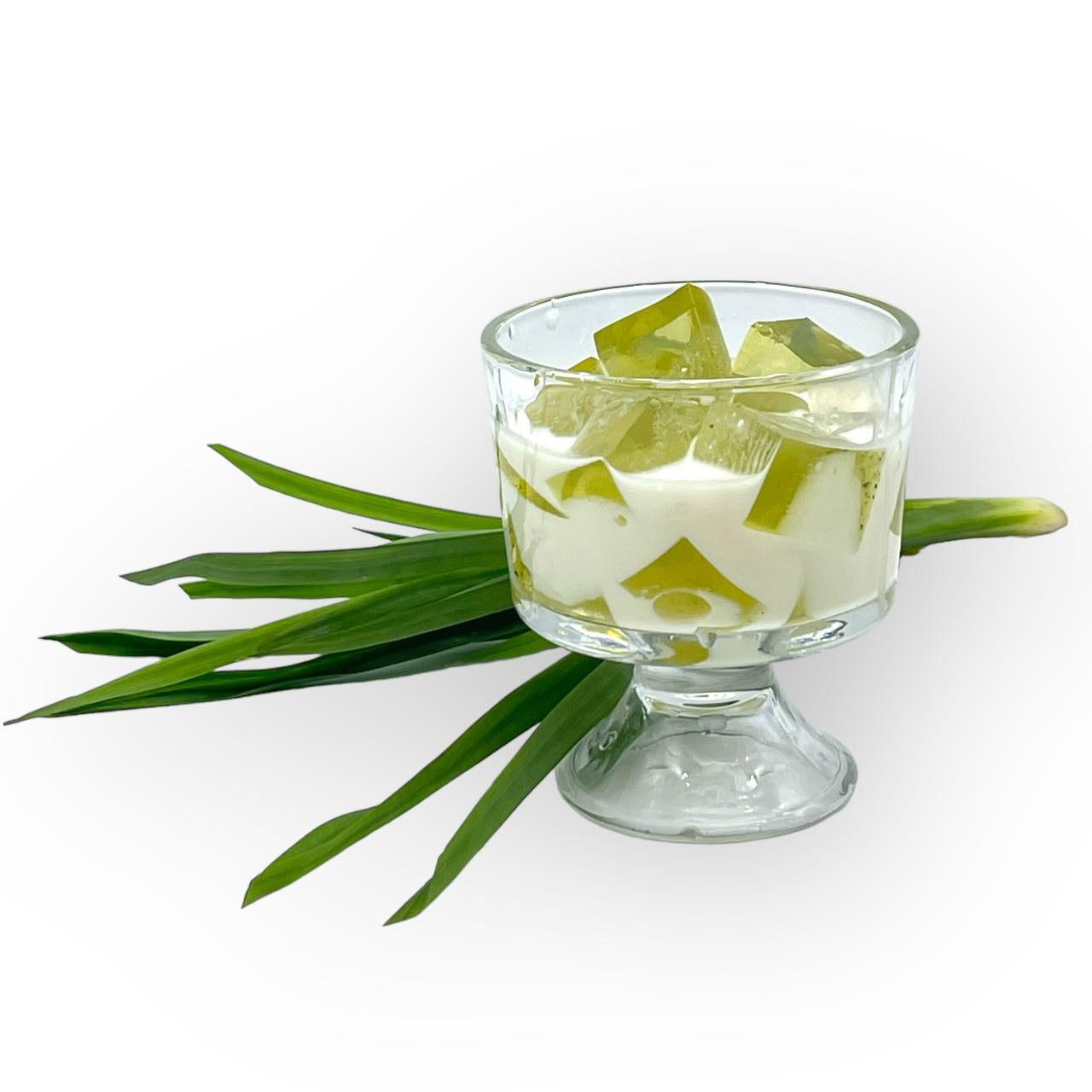 Pandan Coconut Milk Jelly