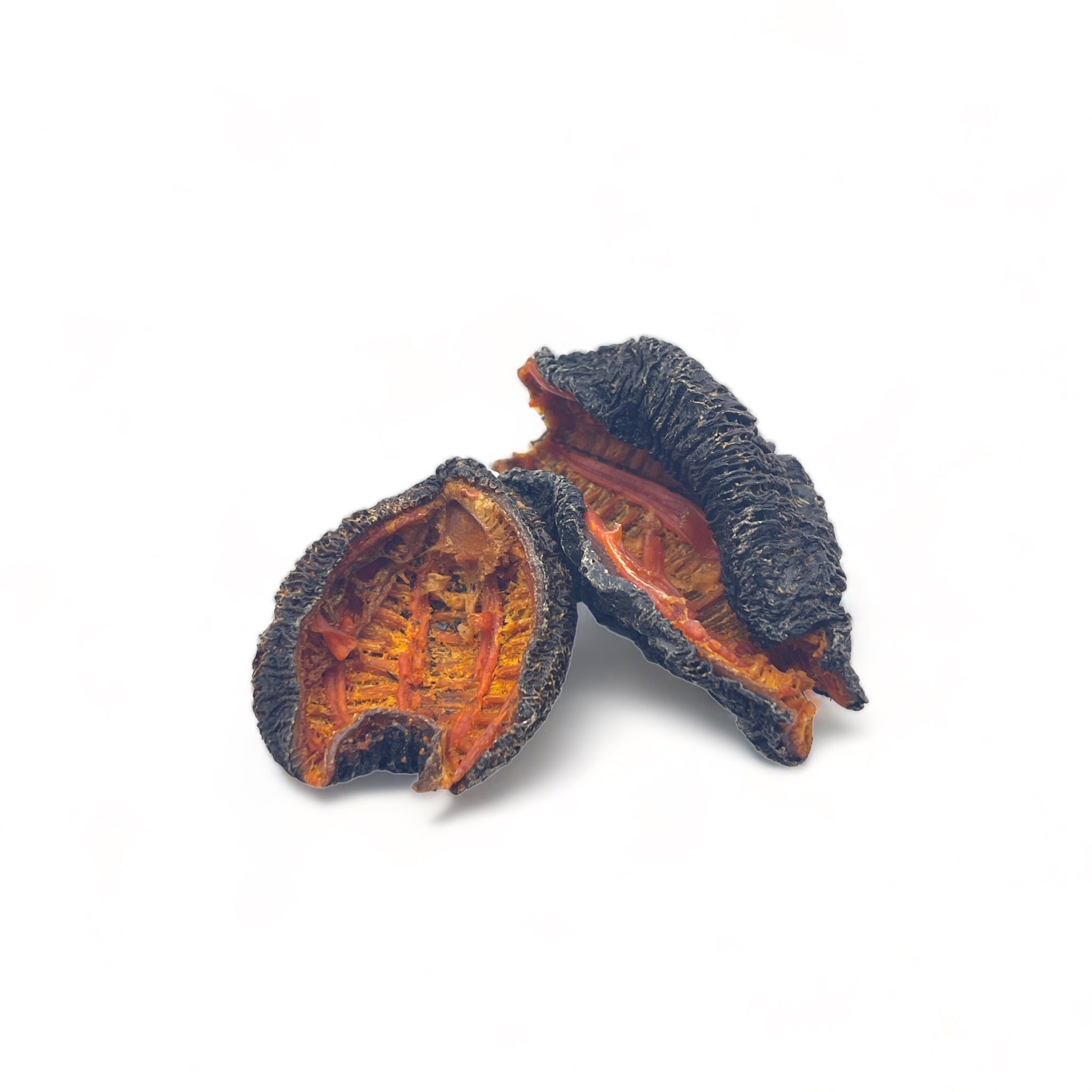 NATIVE ULTRA Canada Wild Sea Cucumber (Butterfly-Cut), 454g/Bag