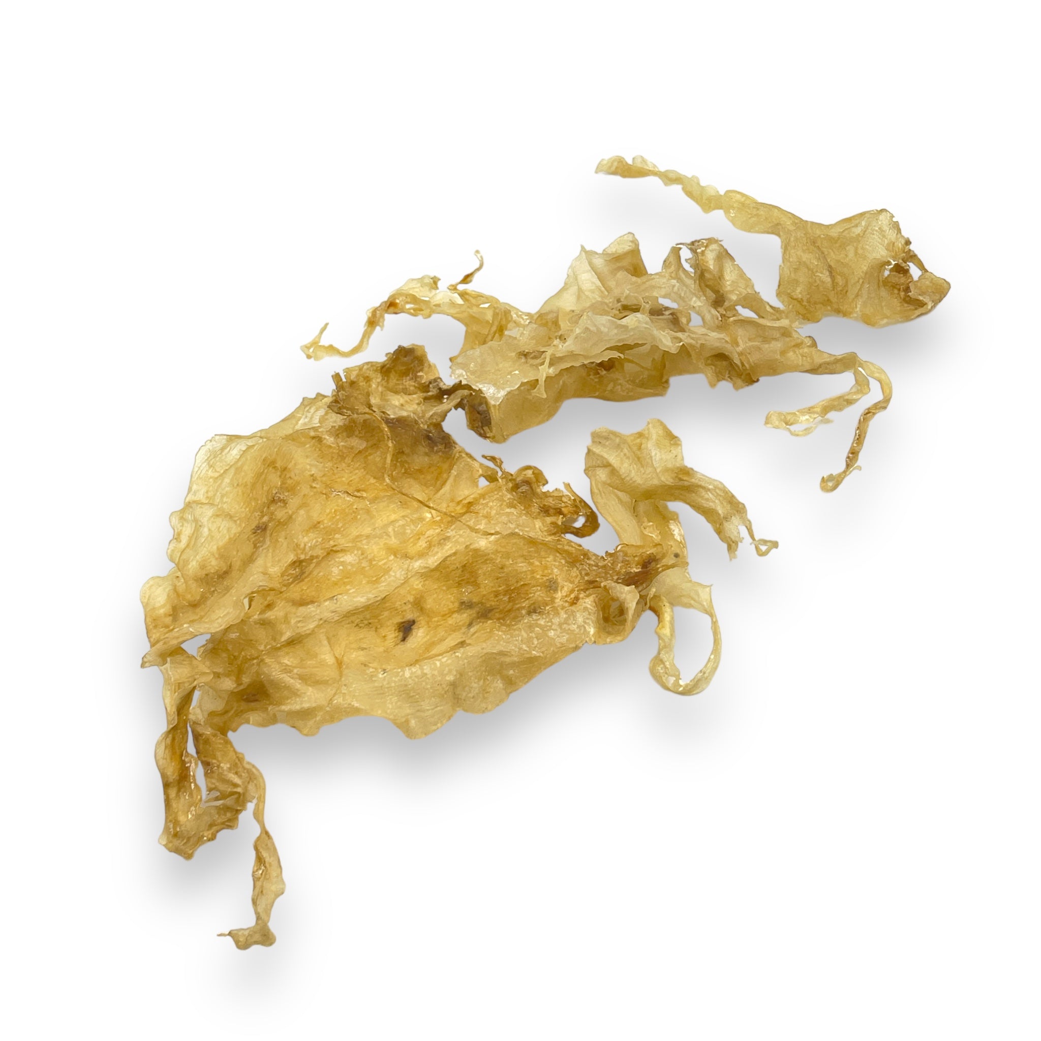 Australian Cod Fish Maw, 150g