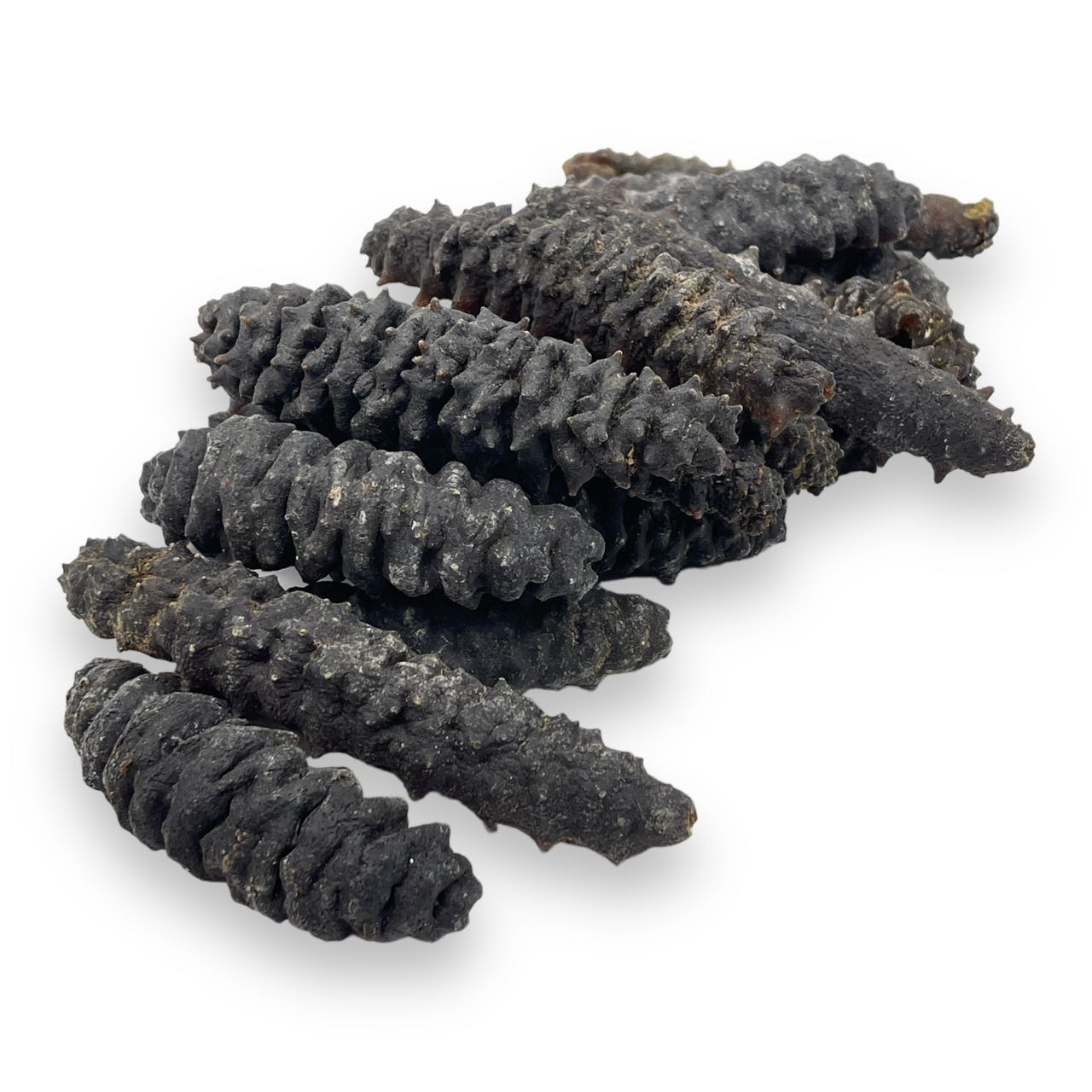 Caribbean Wild Sea Cucumber, 1 lb/bag, ±40 pieces/lb