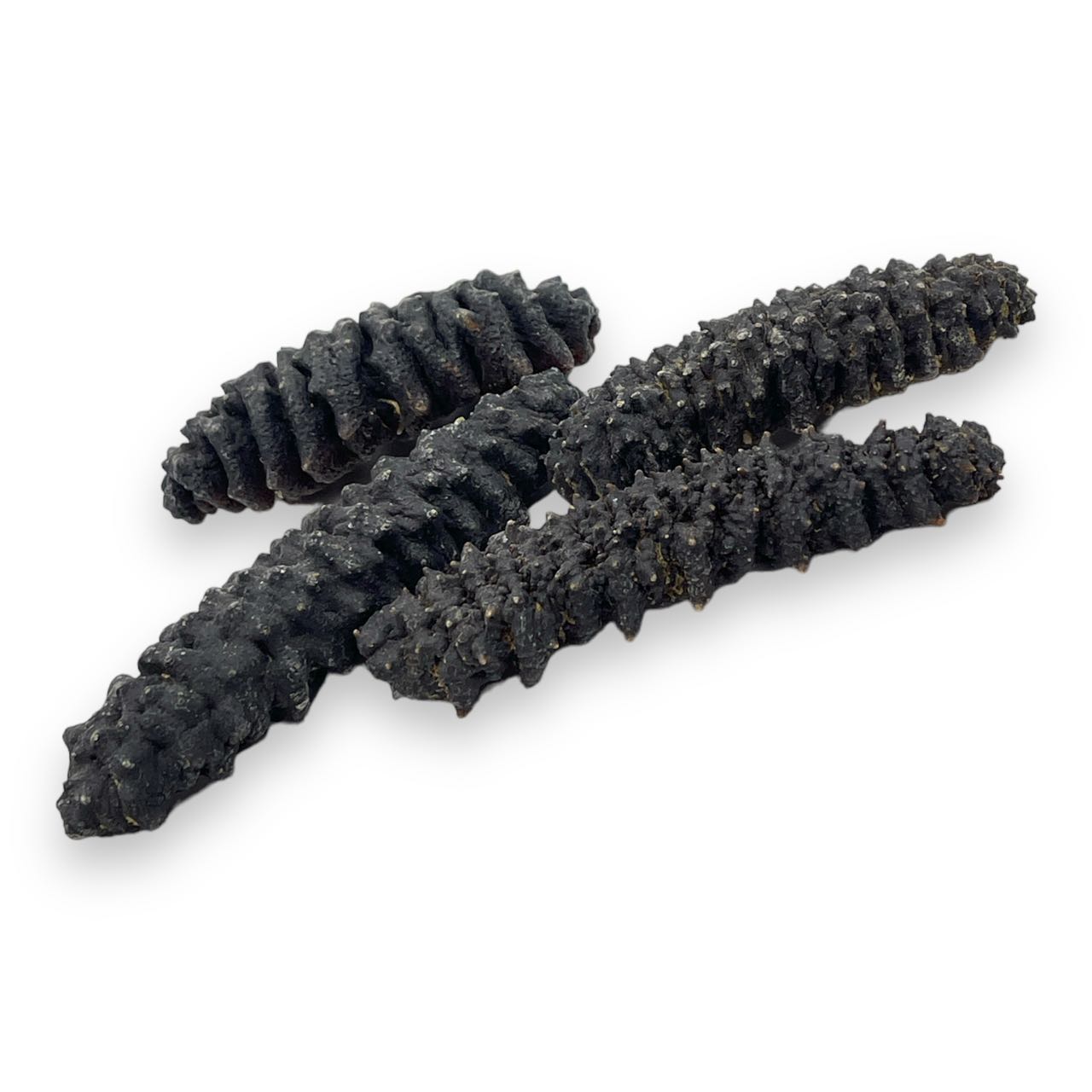 Caribbean Wild Sea Cucumber, 1 lb/bag, ±40 pieces/lb