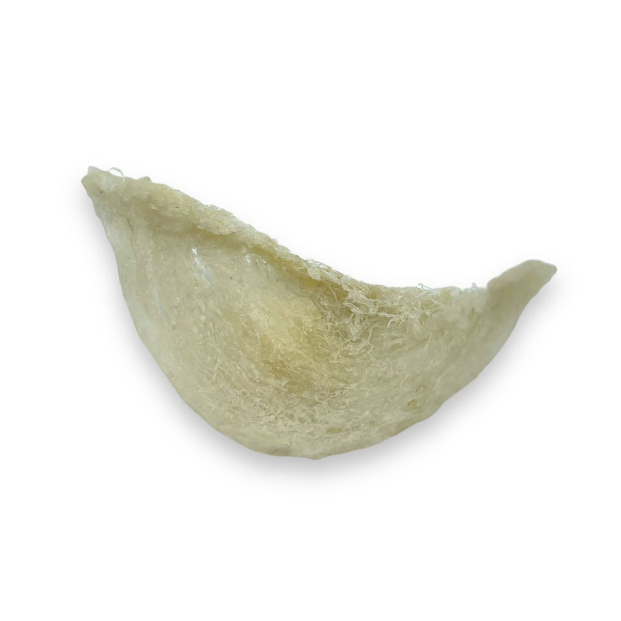 Bali Bird's Nest, Large Cup, 200g per Box