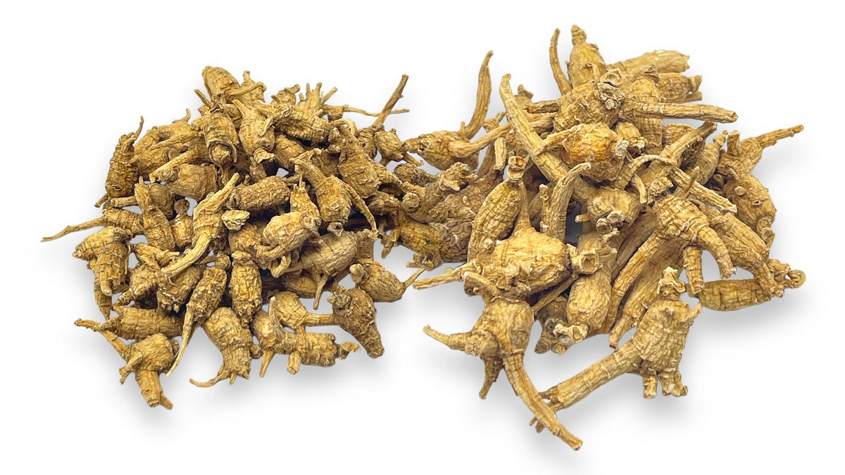 Two piles of dried Canadian-grown American ginseng roots on a white background