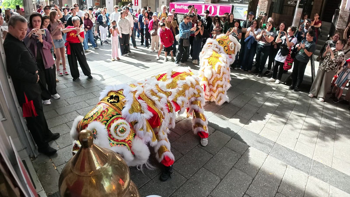 Two southern lions dance on a Chinatown sidewalk as a crowd films with their phones.