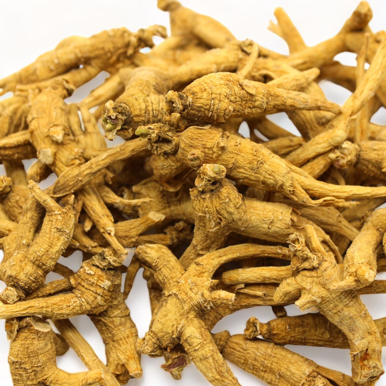"NATIVE ULTRA" 5-Year Premium Canadian Ginseng Whole Roots, 454g/bag